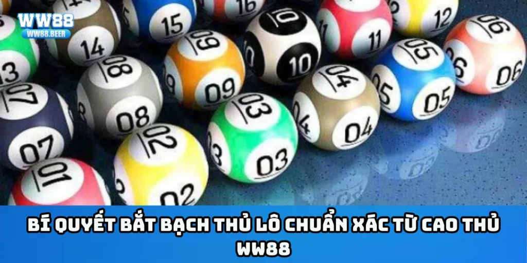 Cách Bắt Bạch Thủ Lô Chuẩn