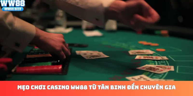 Mẹo chơi casino WW88 từ tân binh đến chuyên gia