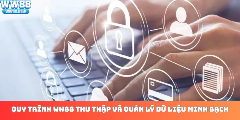 Quy trình WW88 thu thập và quản lý dữ liệu minh bạch