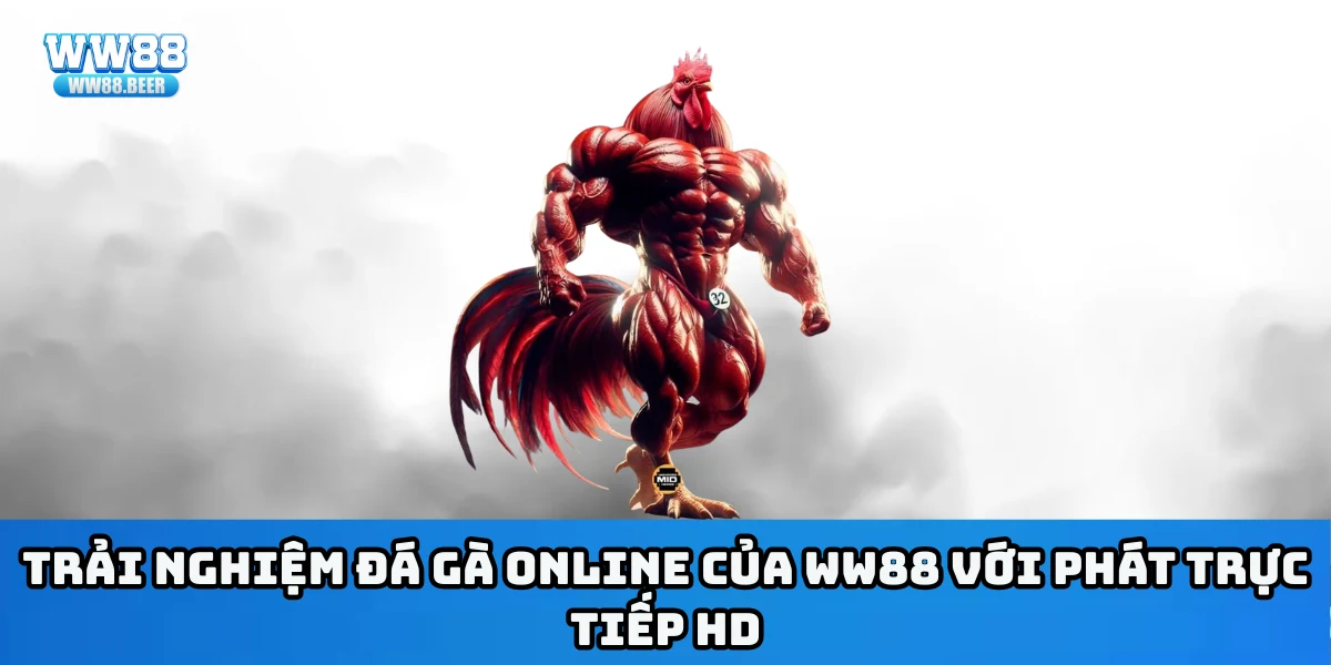 Trải nghiệm đá gà online của WW88 với phát trực tiếp HD