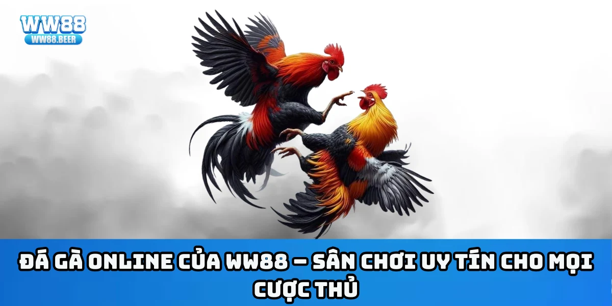 Đá gà online của WW88 – Sân chơi uy tín cho mọi cược thủ