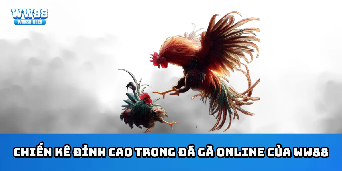 Chiến kê đỉnh cao trong đá gà online của WW88