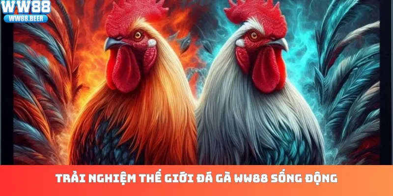 Trải nghiệm thế giới đá gà WW88 sống động