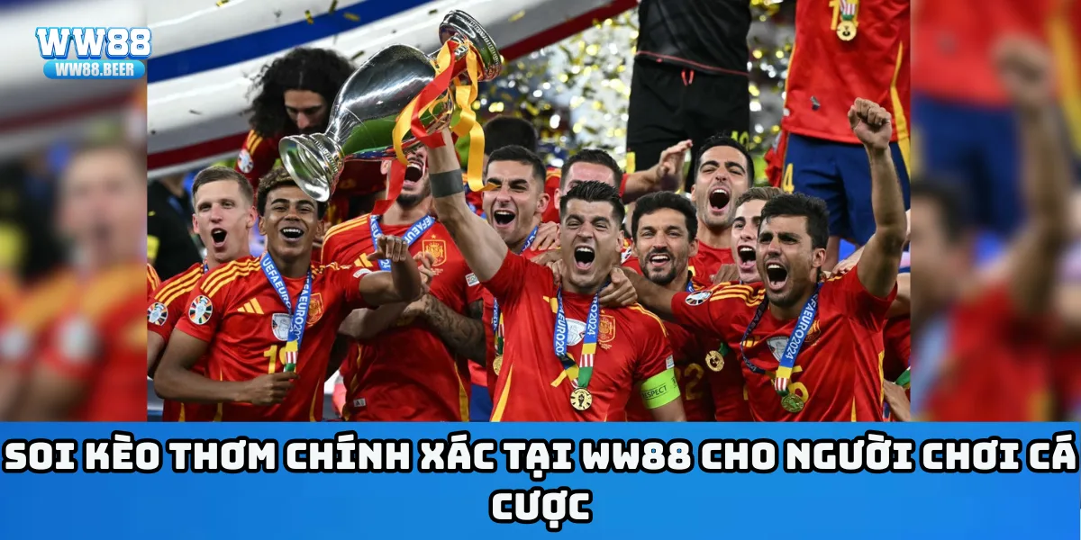 Soi kèo thơm chính xác tại WW88 cho người chơi cá cược