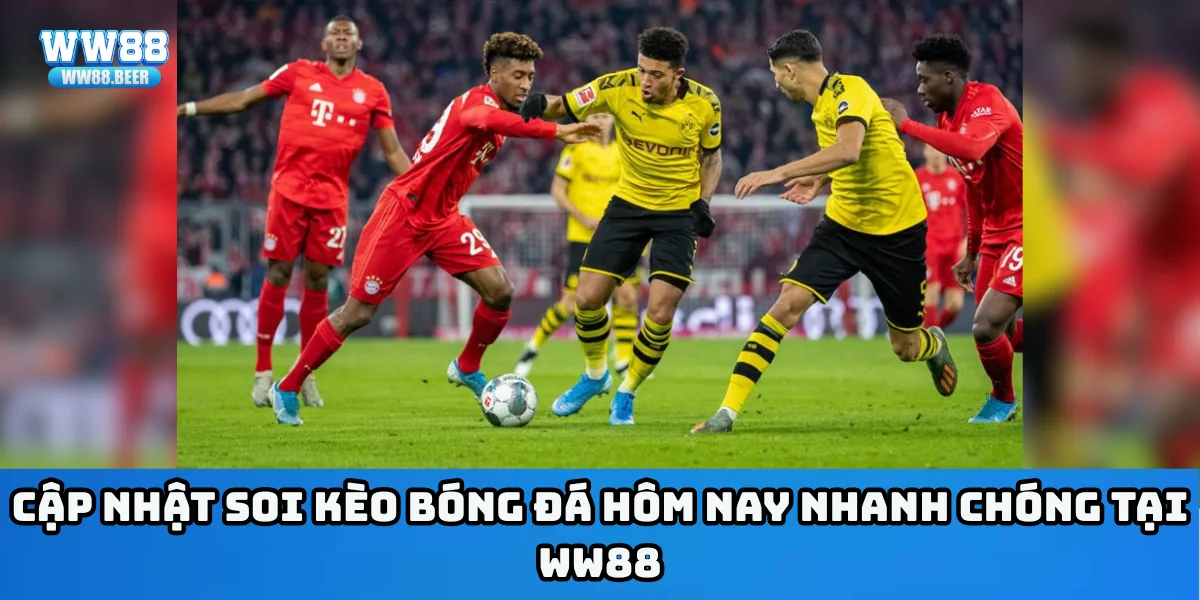 Cập nhật soi kèo bóng đá hôm nay nhanh chóng tại WW88